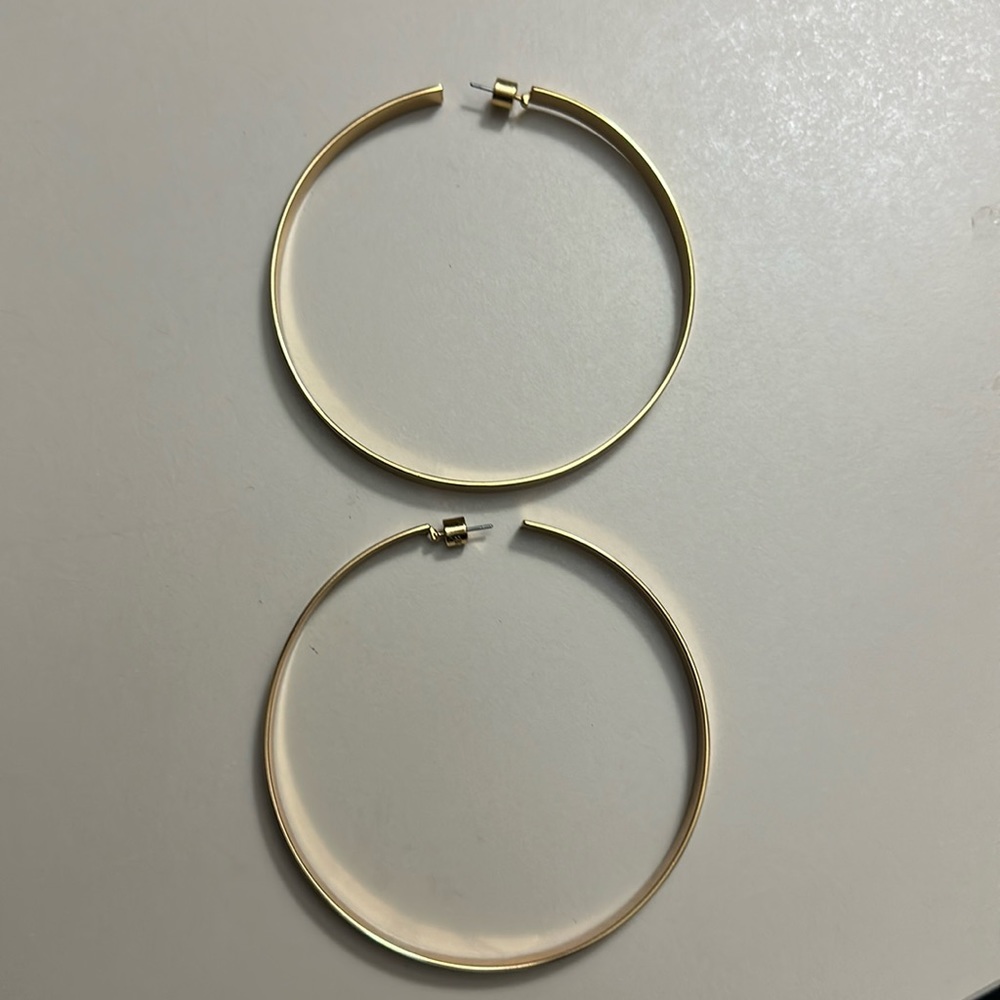 Jenny Bird Wide Hoop earrings